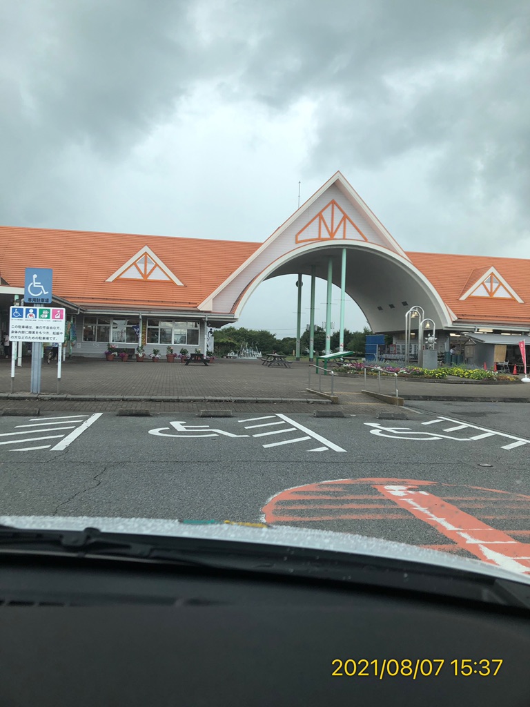 投稿された画像