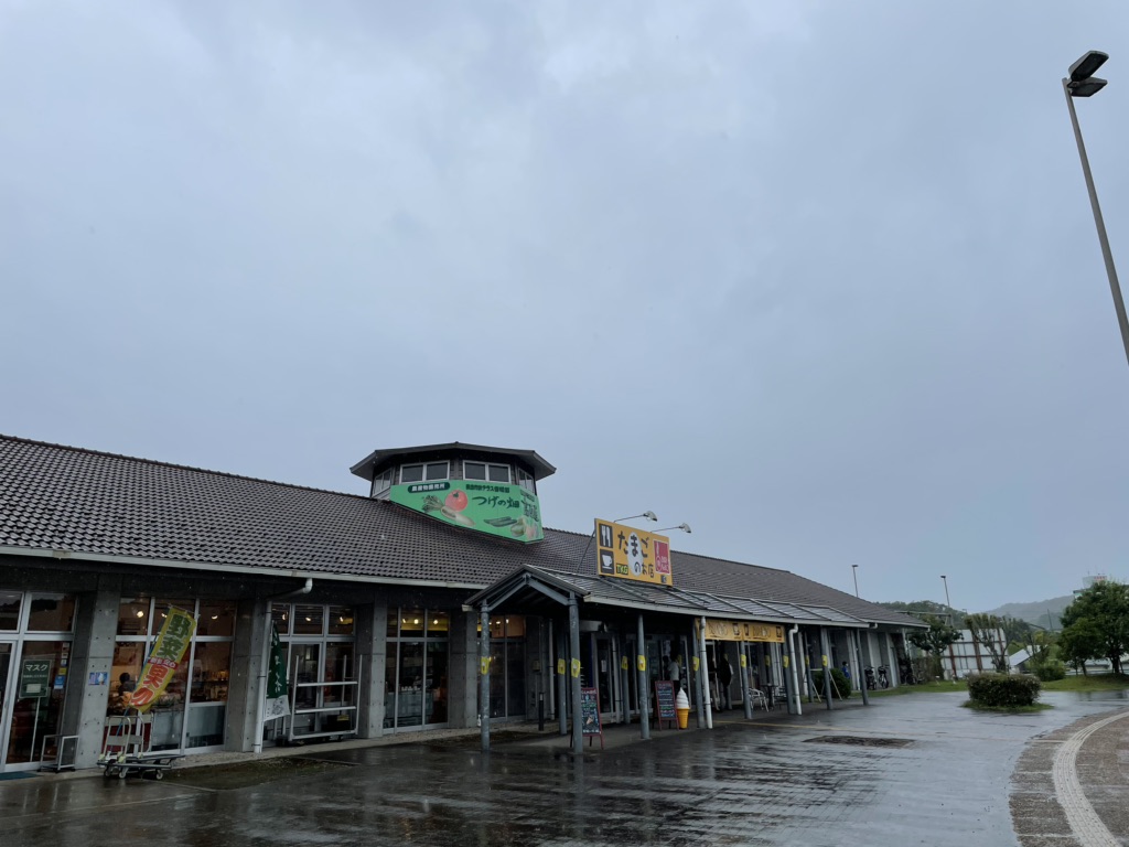 投稿された画像