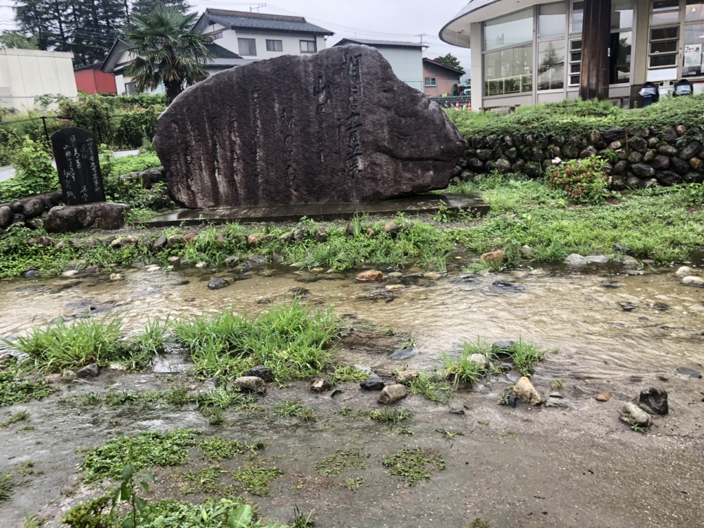 投稿された画像