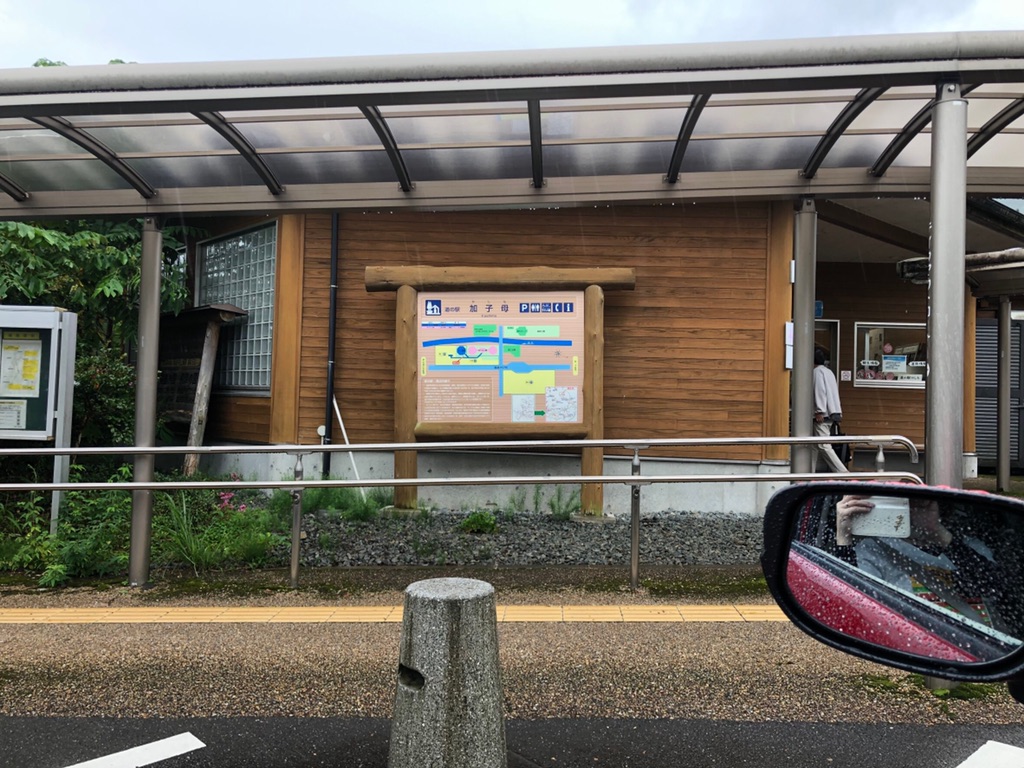 投稿された画像