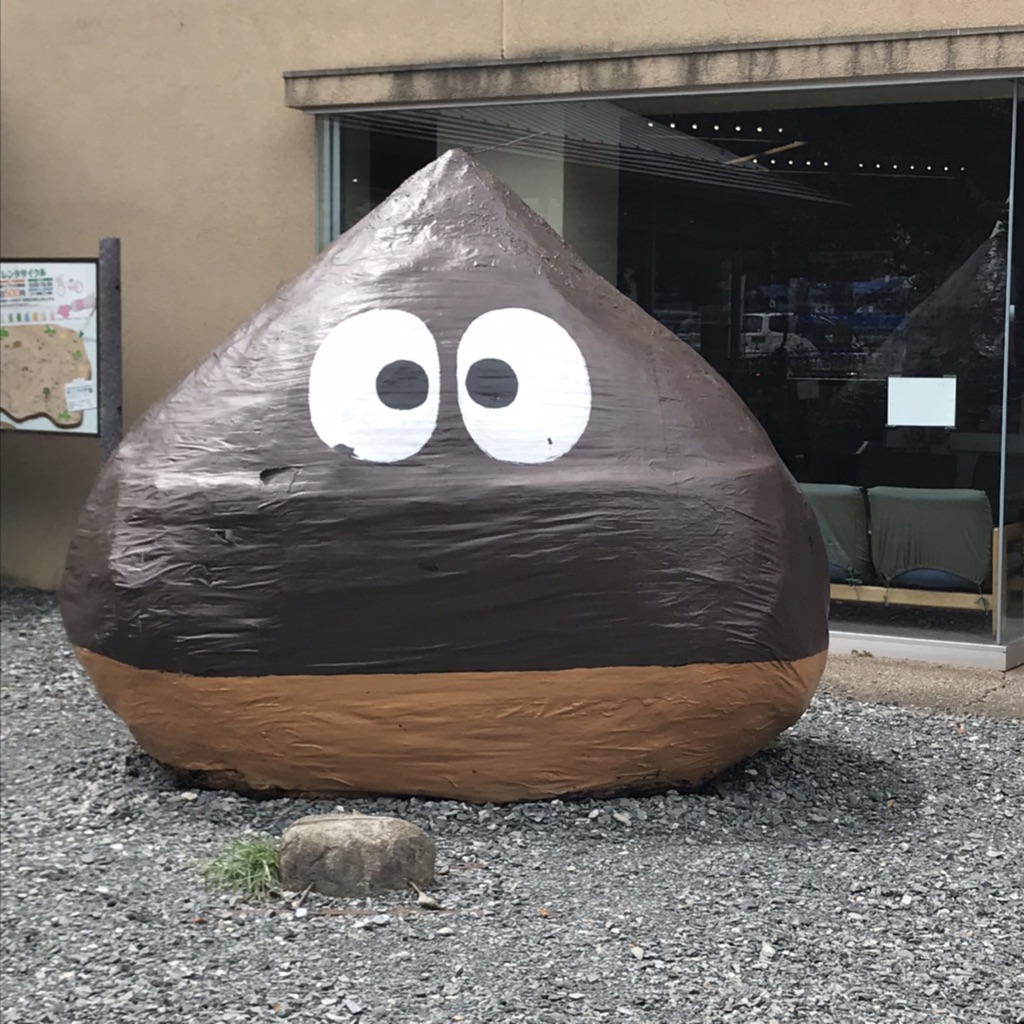 投稿された画像