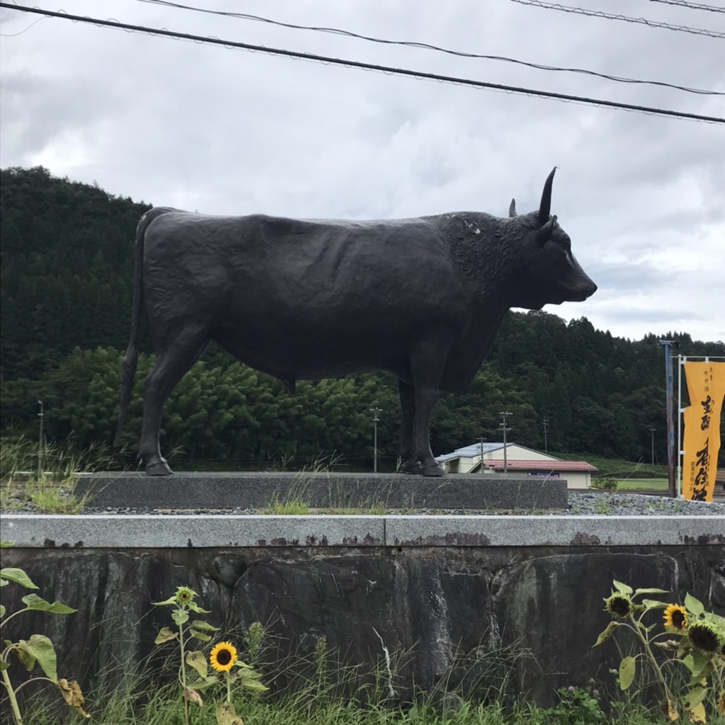 投稿された画像