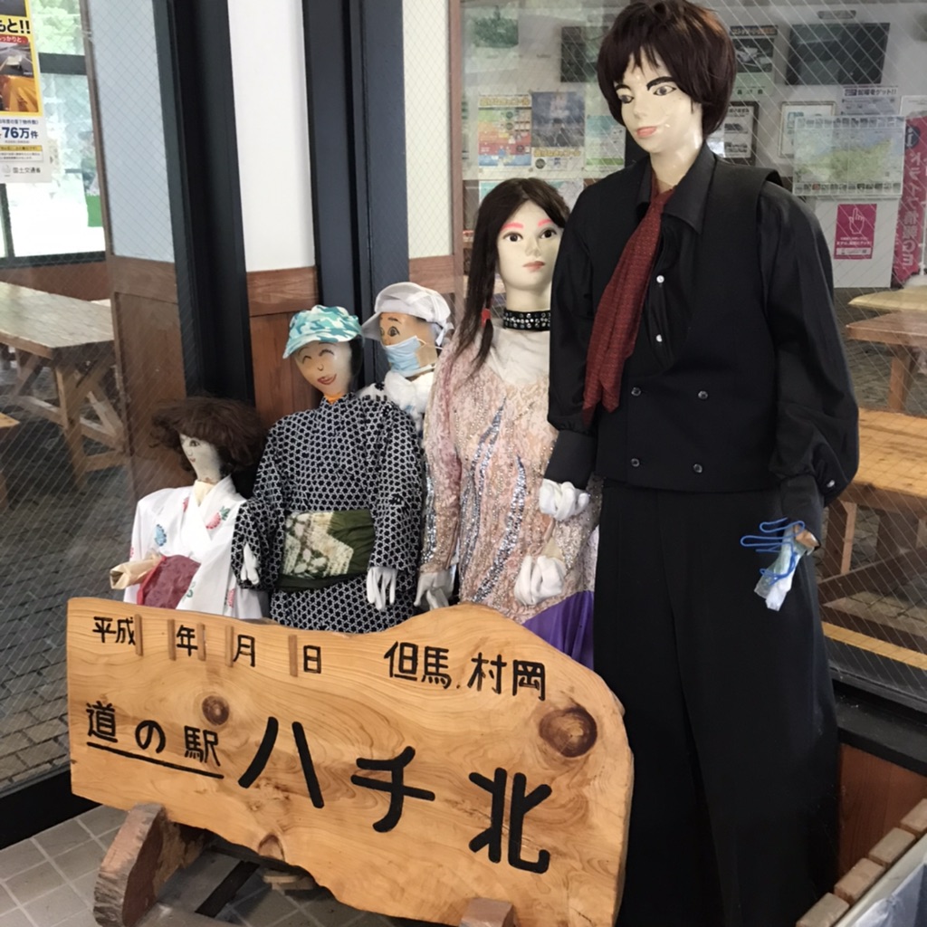 投稿された画像