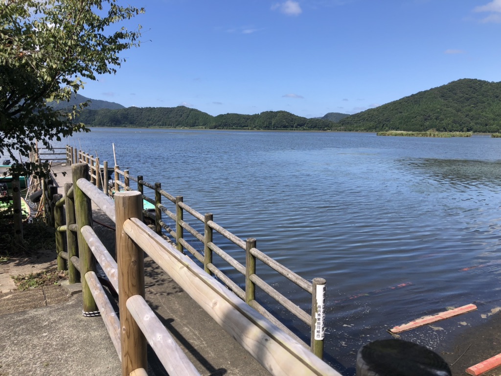 投稿された画像