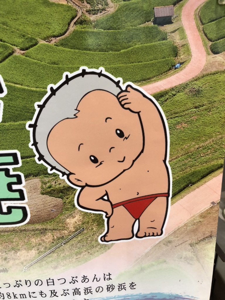 投稿された画像