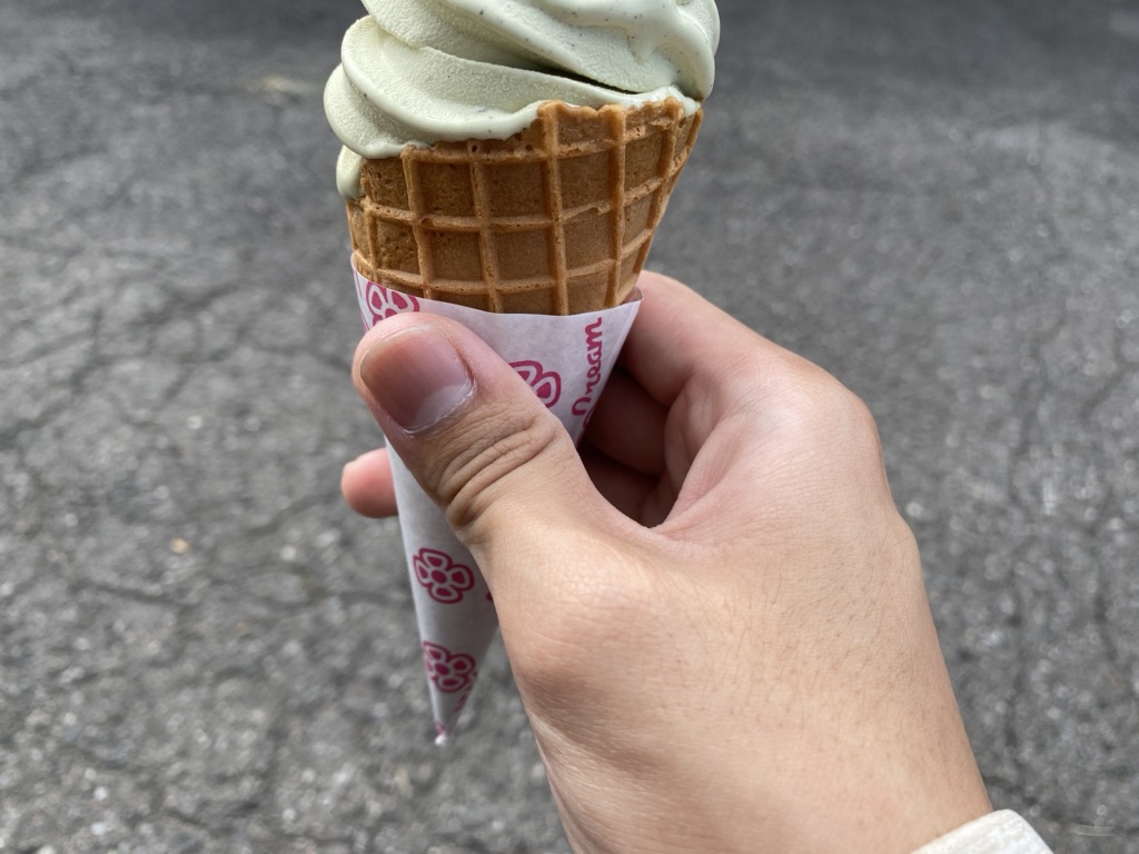 投稿された画像