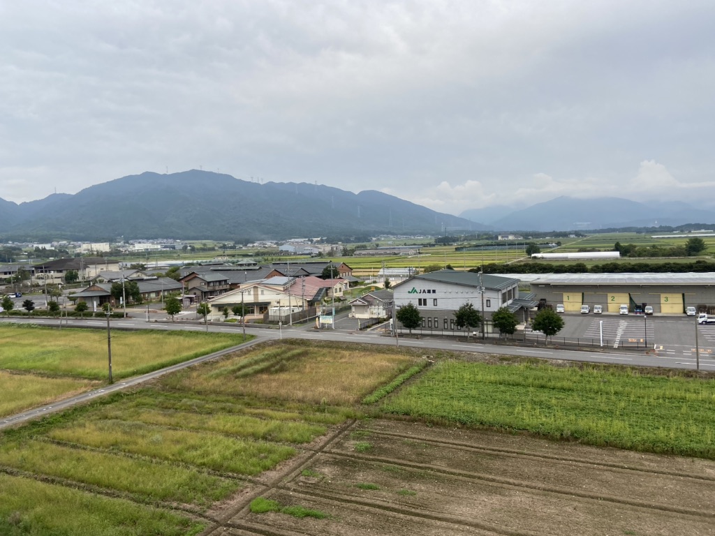 投稿された画像