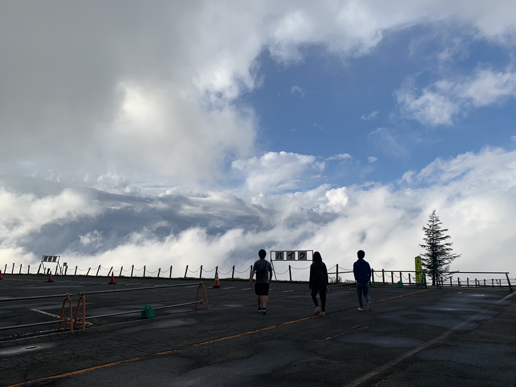 投稿された画像