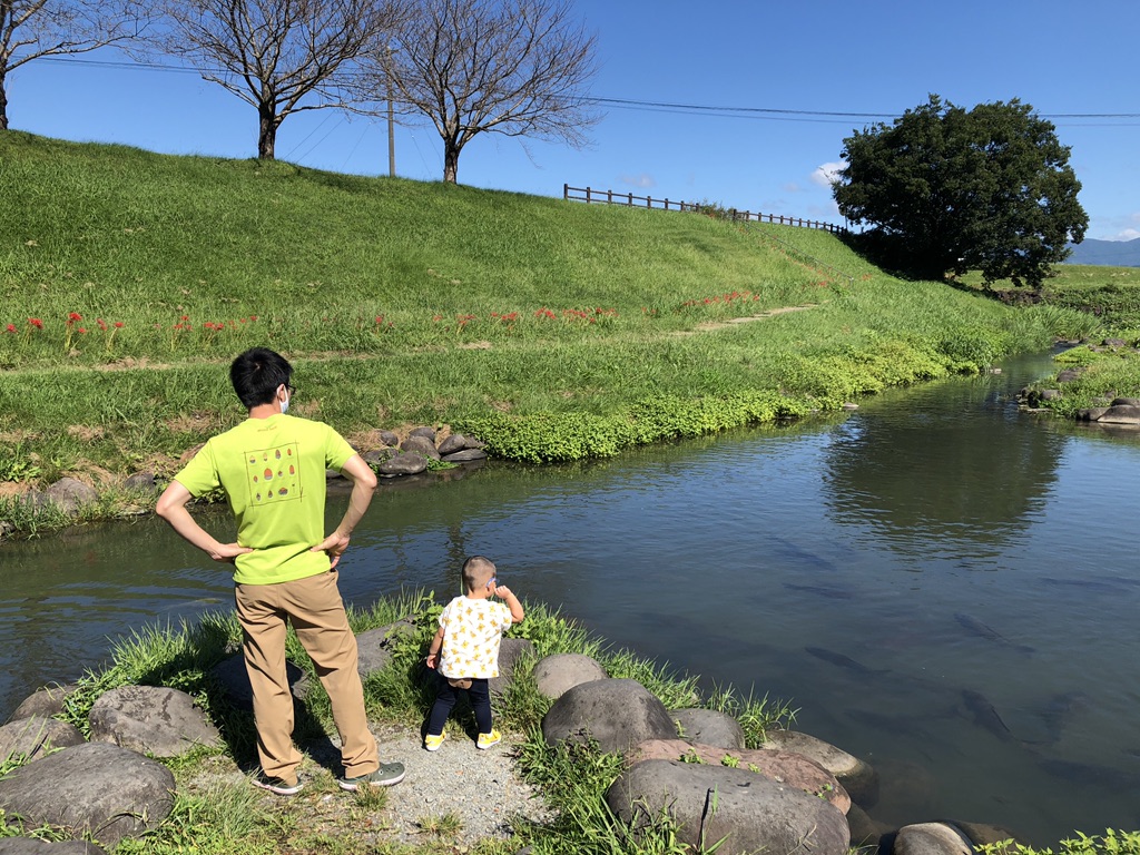 投稿された画像