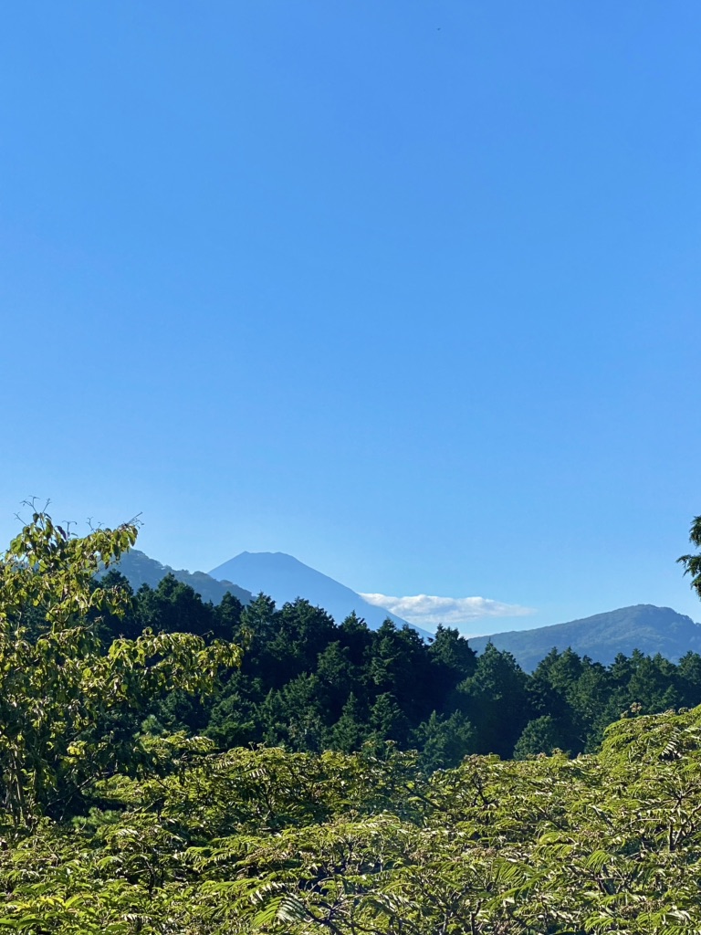 投稿された画像