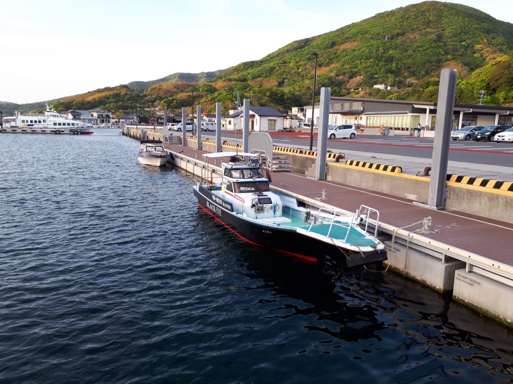 投稿された画像