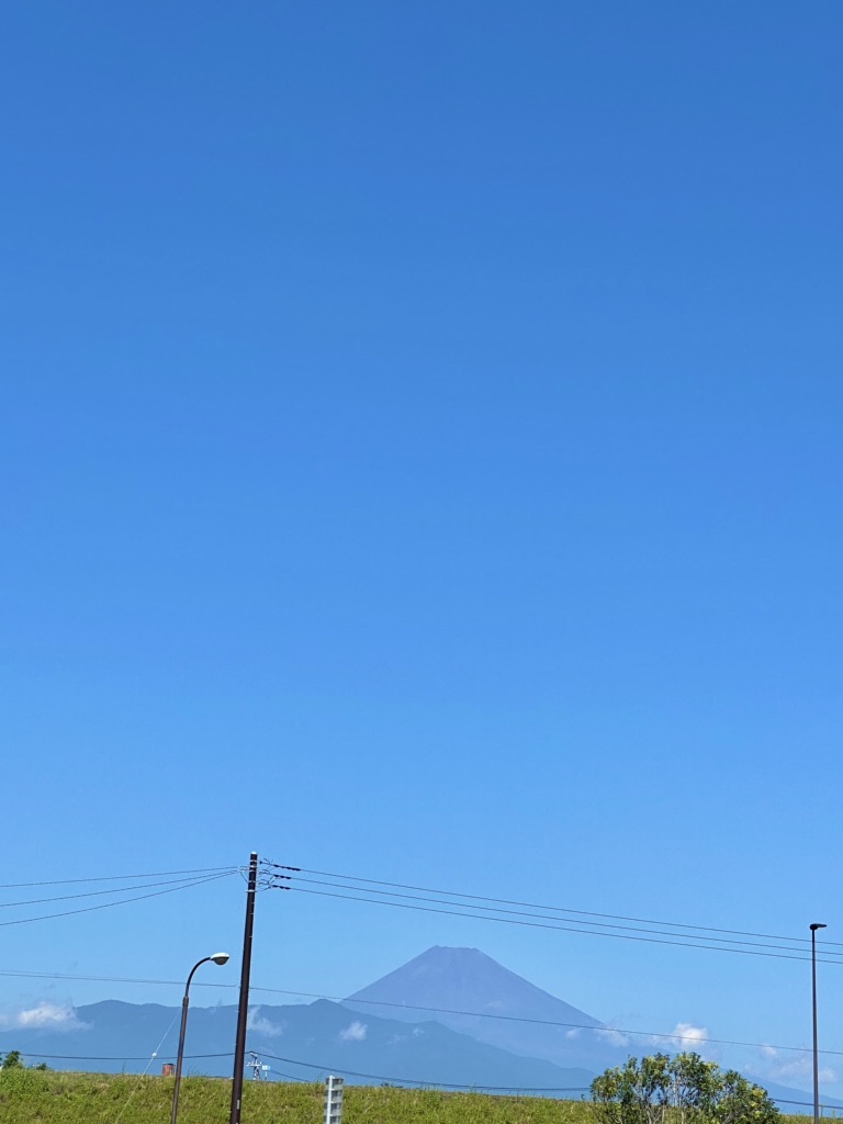 投稿された画像