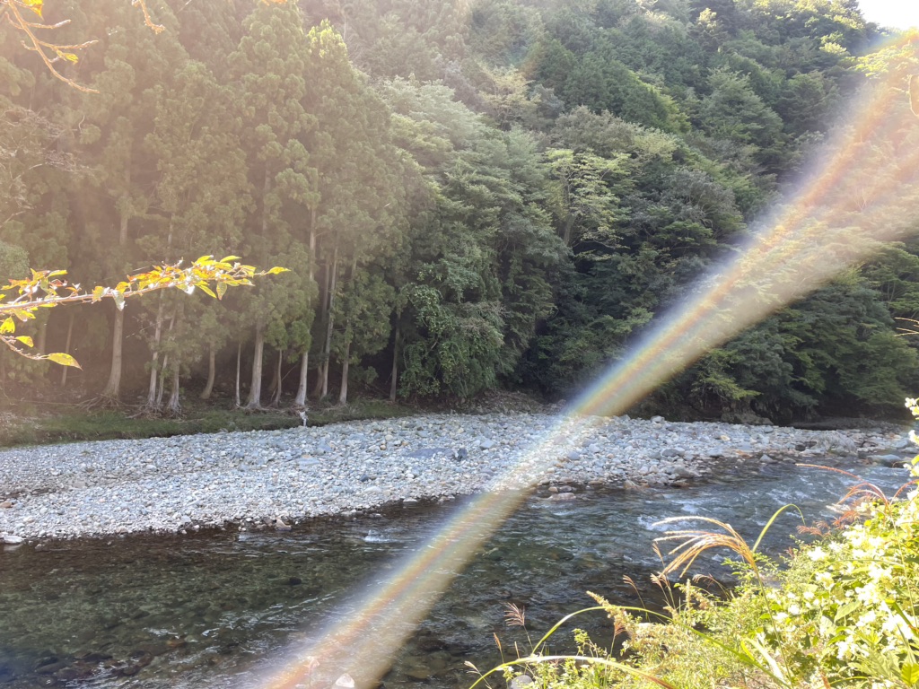 投稿された画像