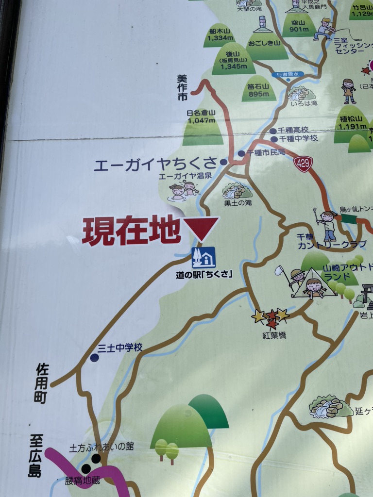 投稿された画像