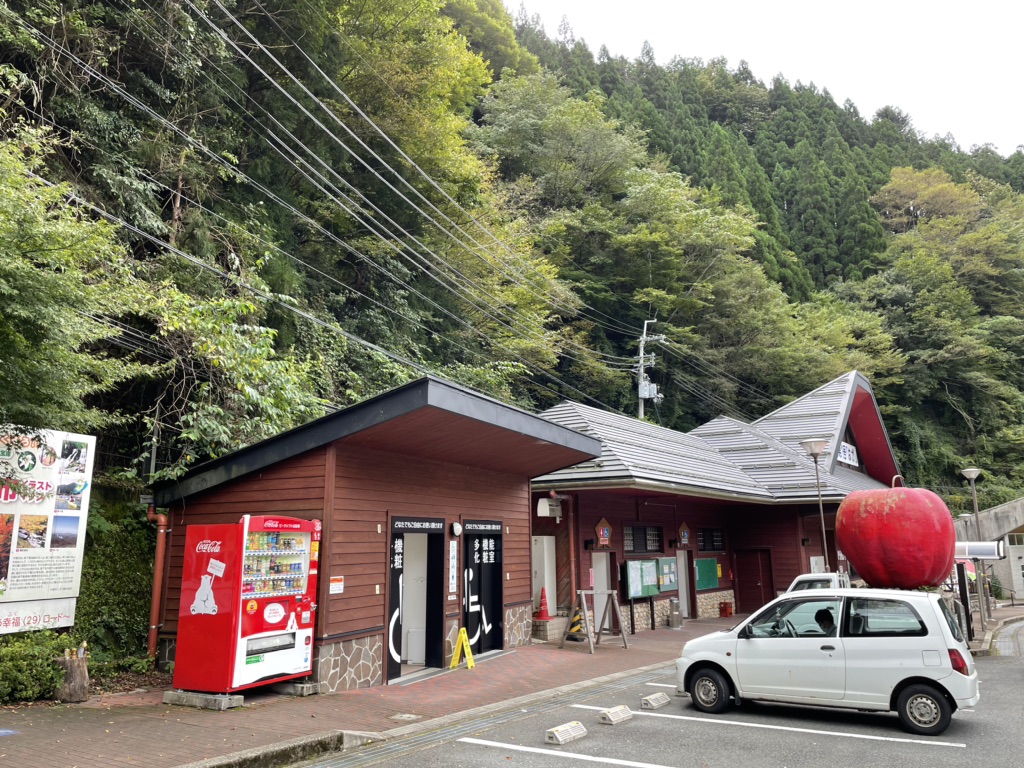 投稿された画像