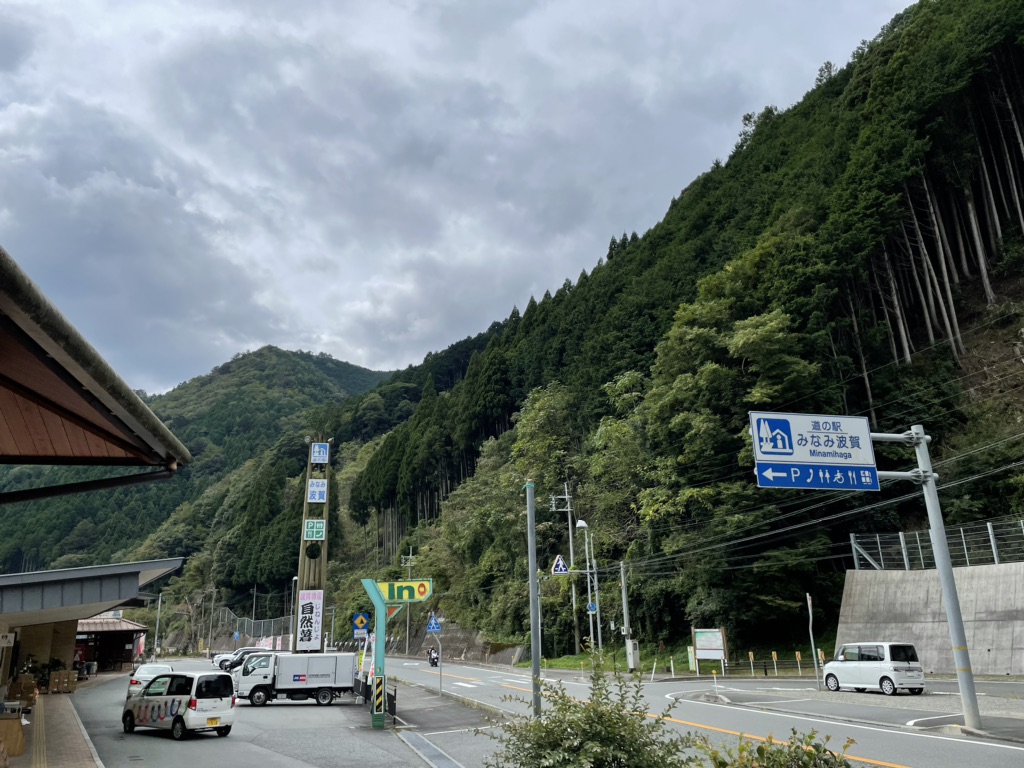 投稿された画像