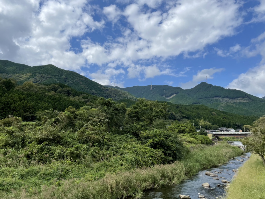 投稿された画像