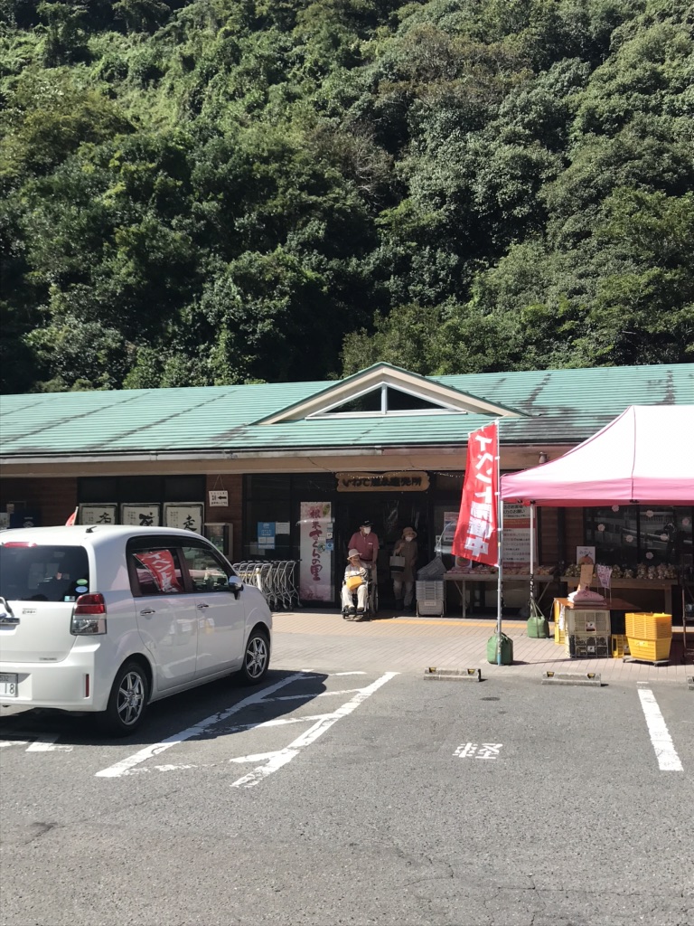 投稿された画像