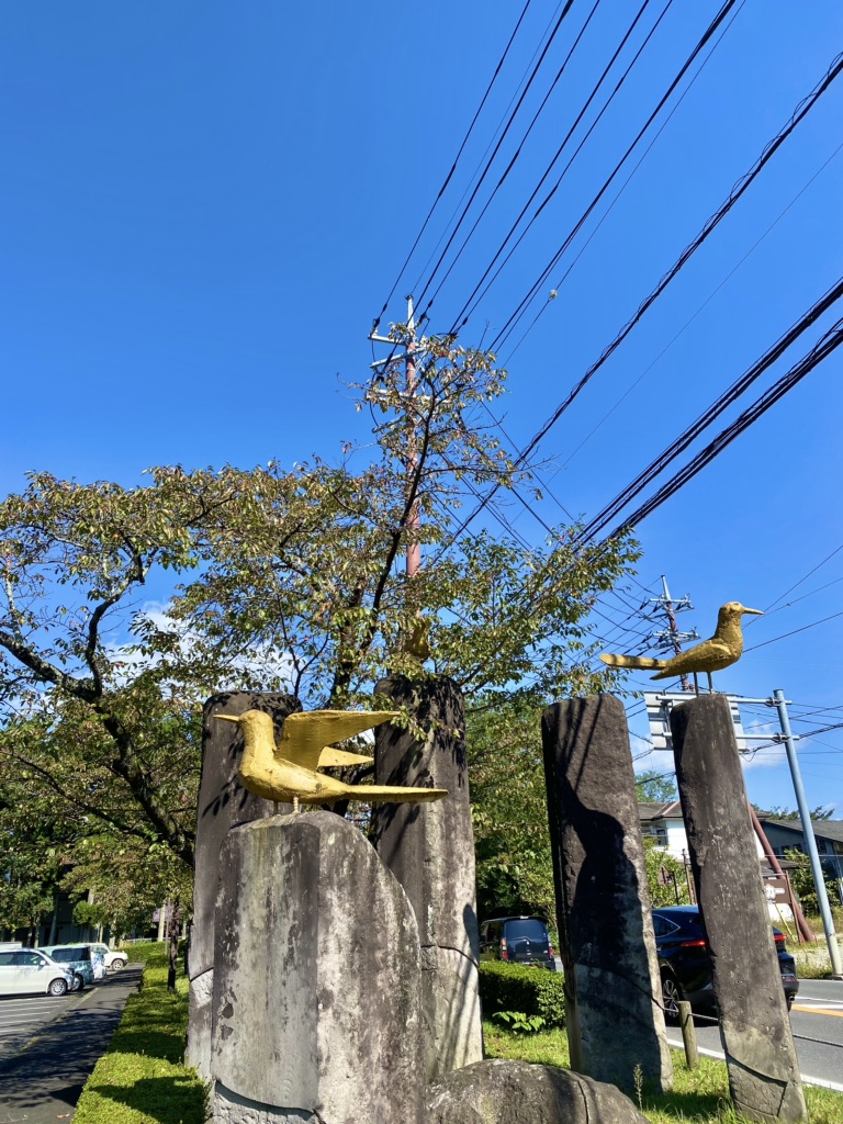 投稿された画像