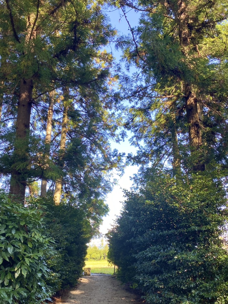 投稿された画像