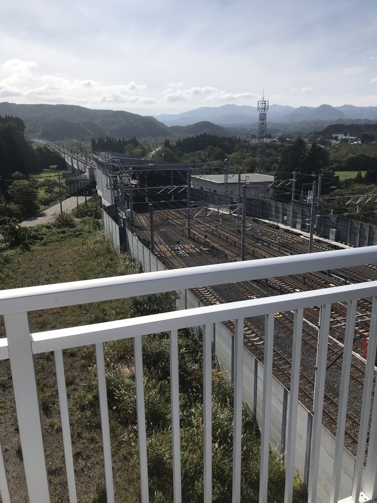 投稿された画像