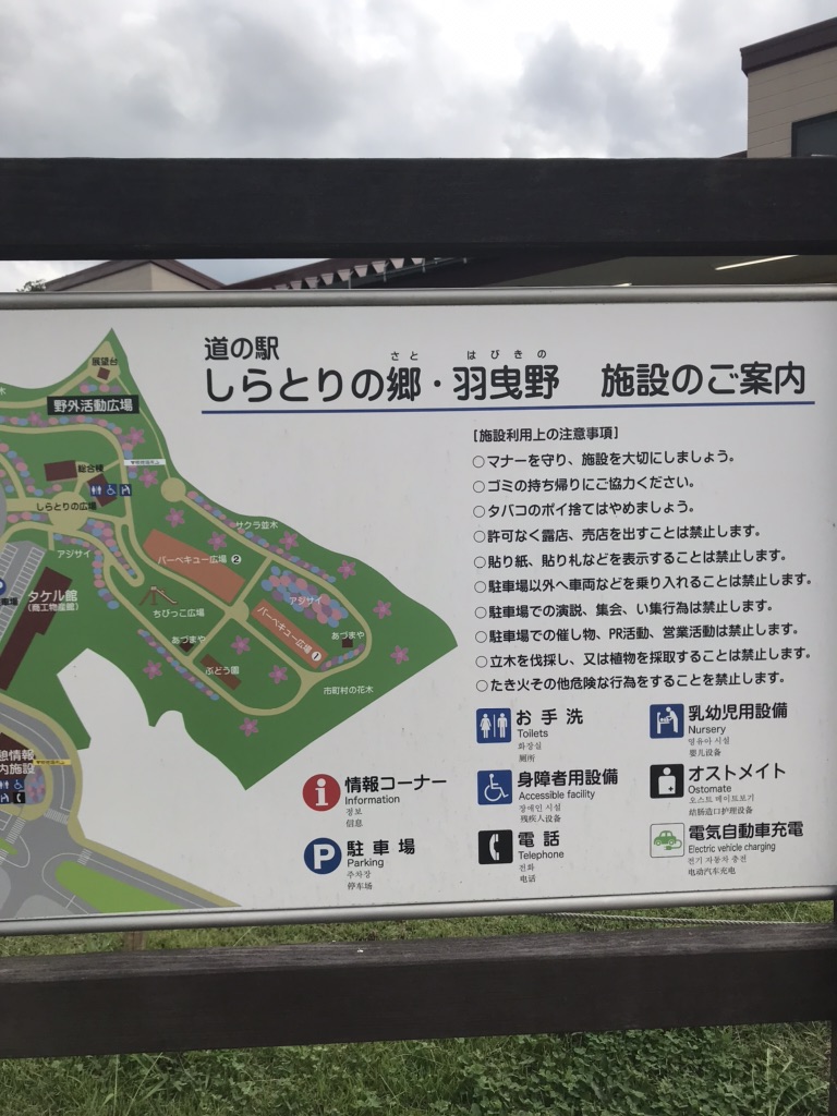 投稿された画像
