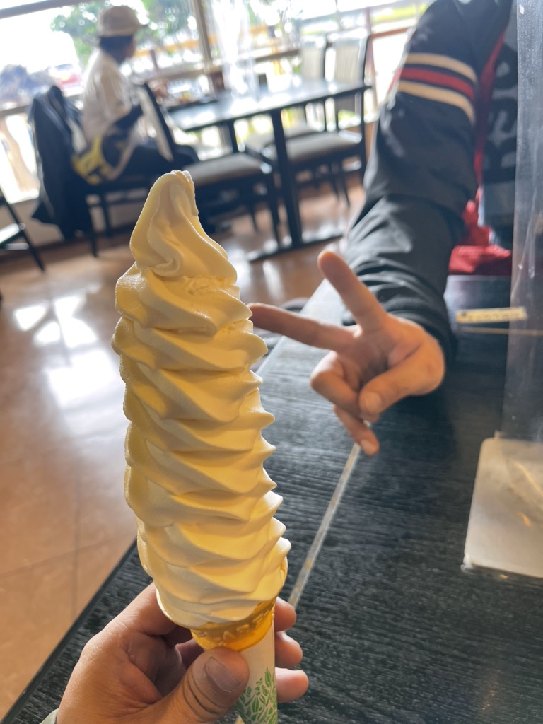 投稿された画像