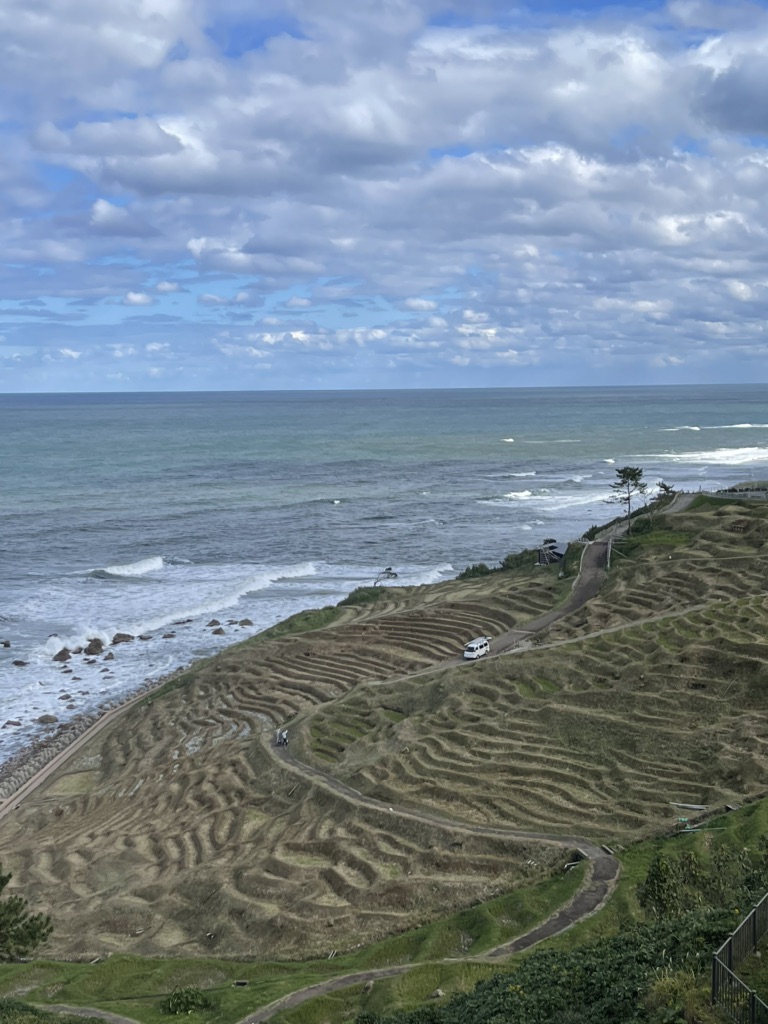 投稿された画像