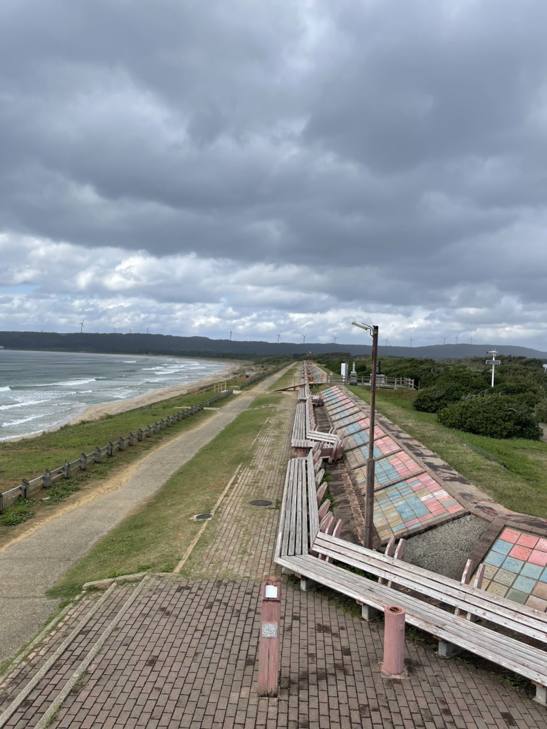 投稿された画像