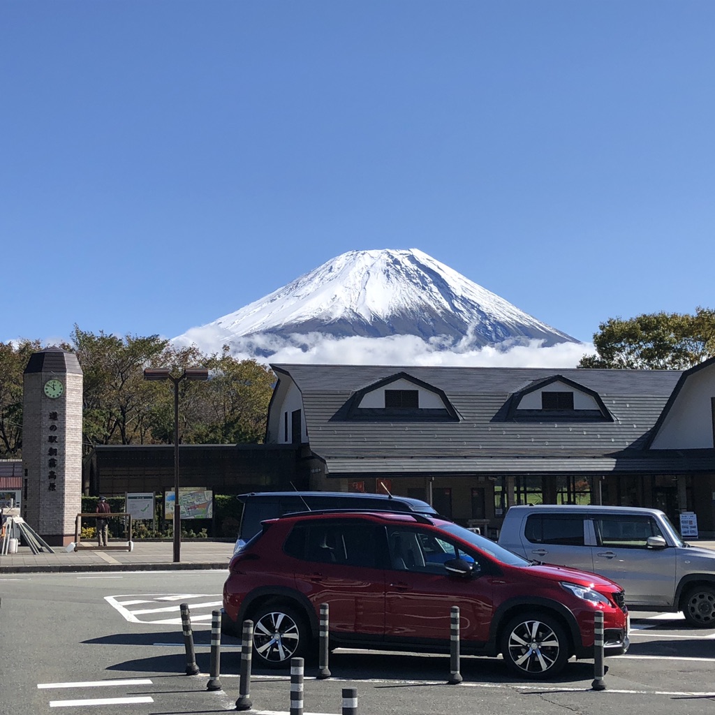 投稿された画像