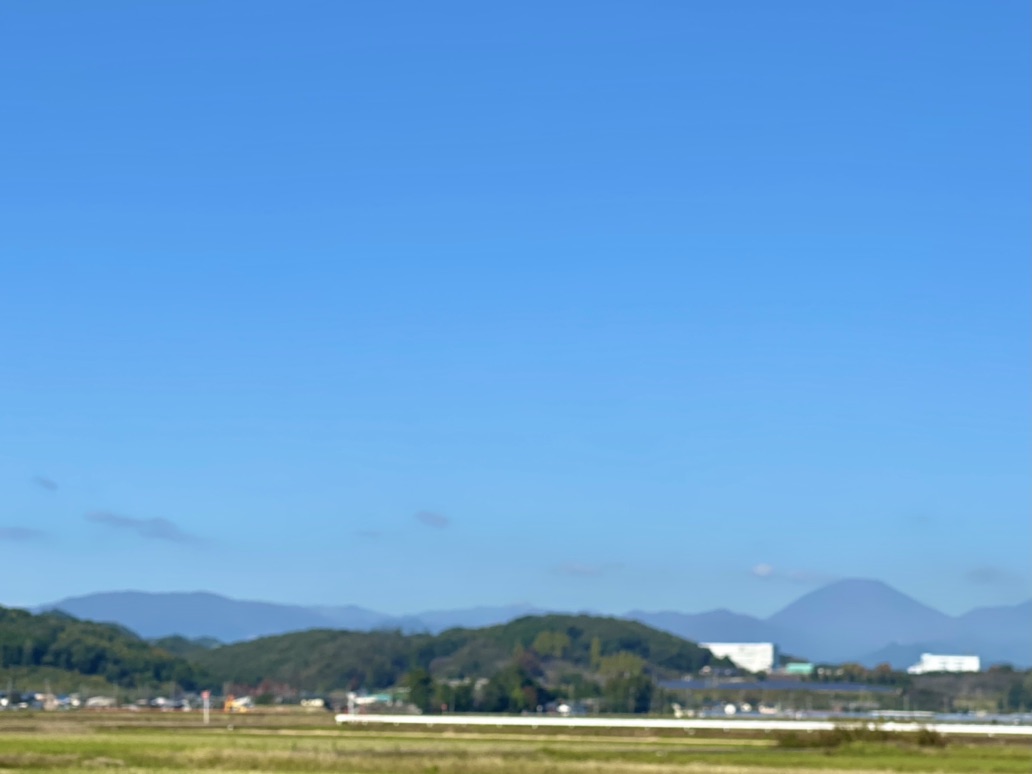 投稿された画像