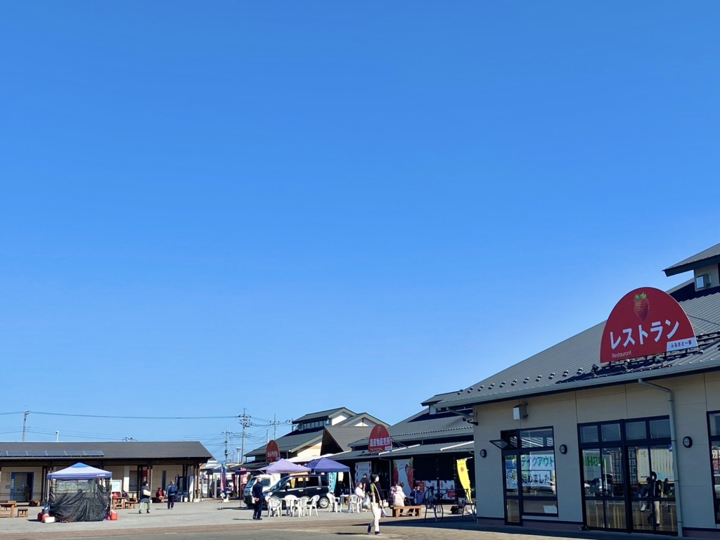 投稿された画像