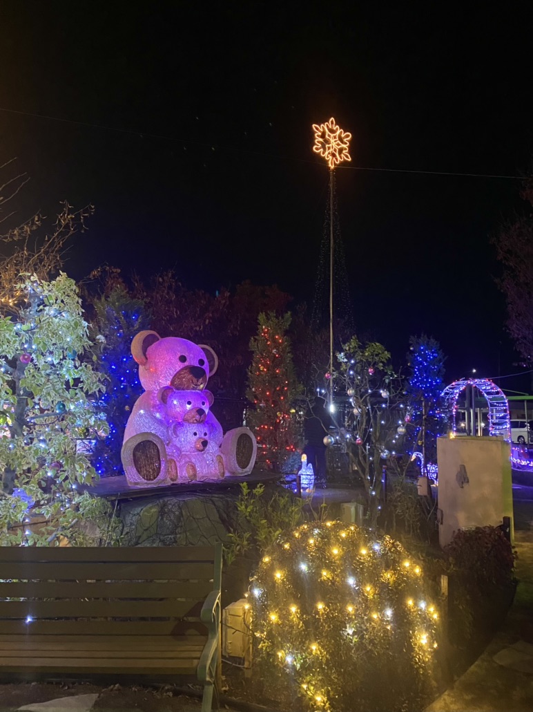 投稿された画像