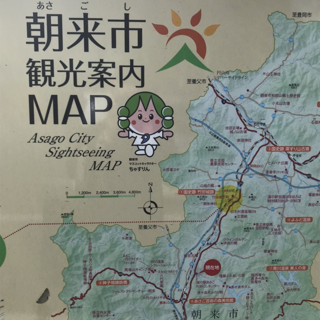 投稿された画像