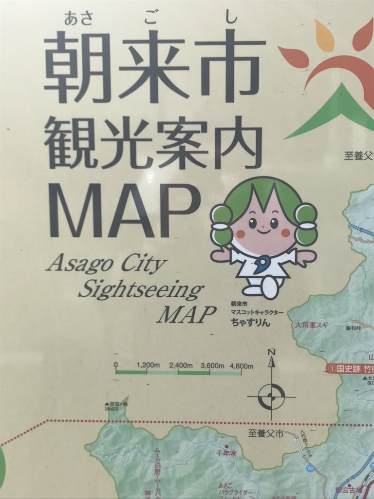 投稿された画像