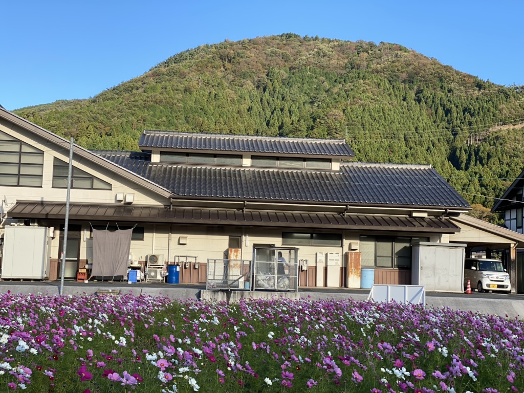 投稿された画像