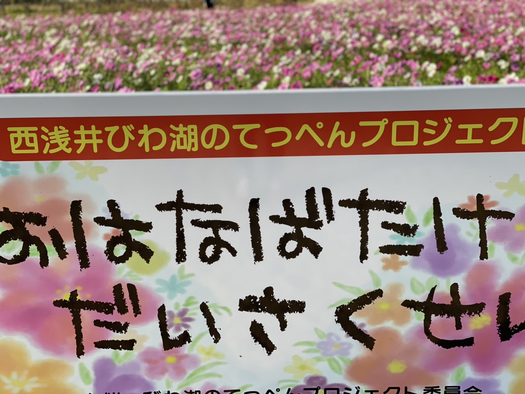 投稿された画像