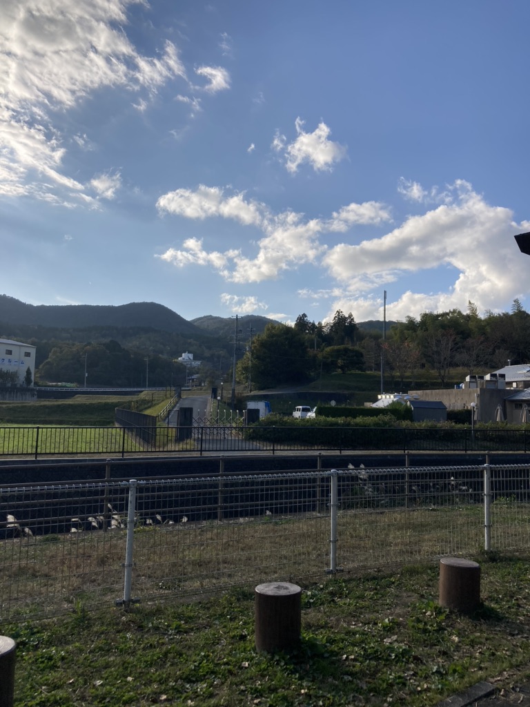 投稿された画像