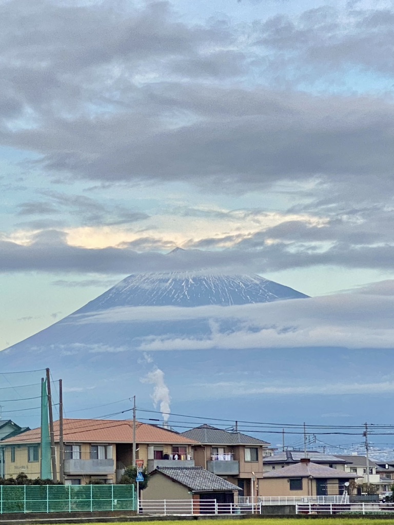 投稿された画像