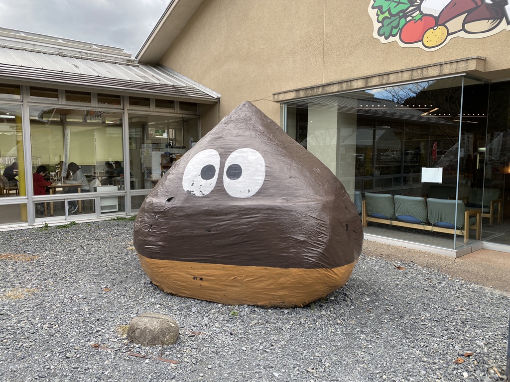 投稿された画像