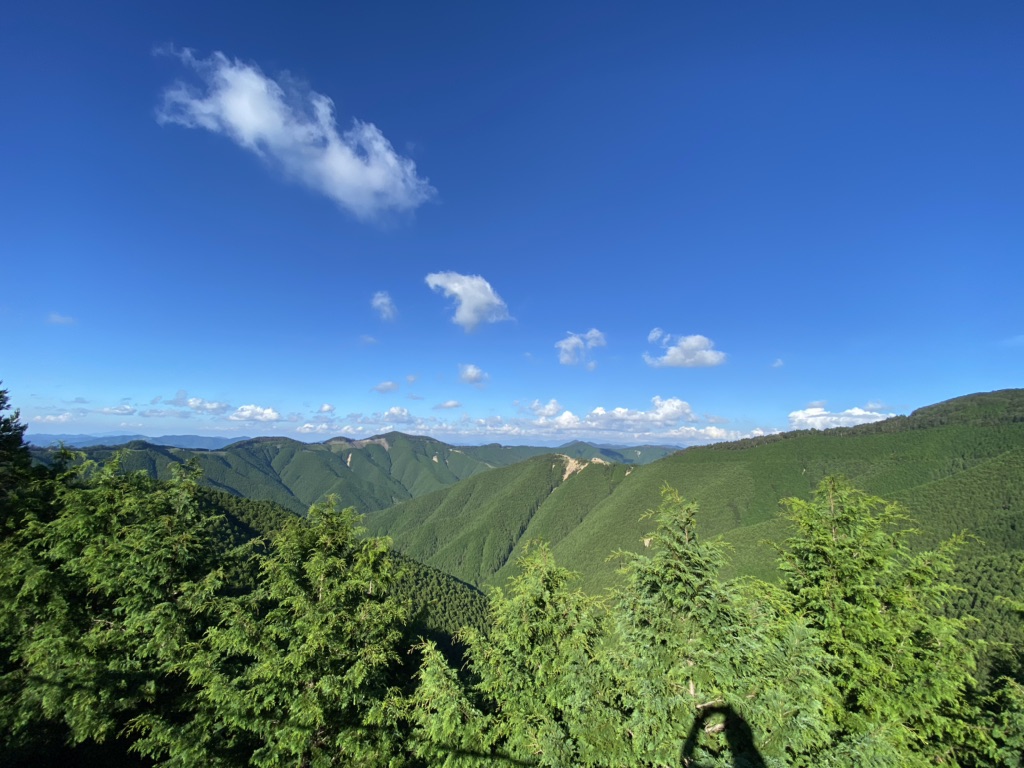投稿された画像