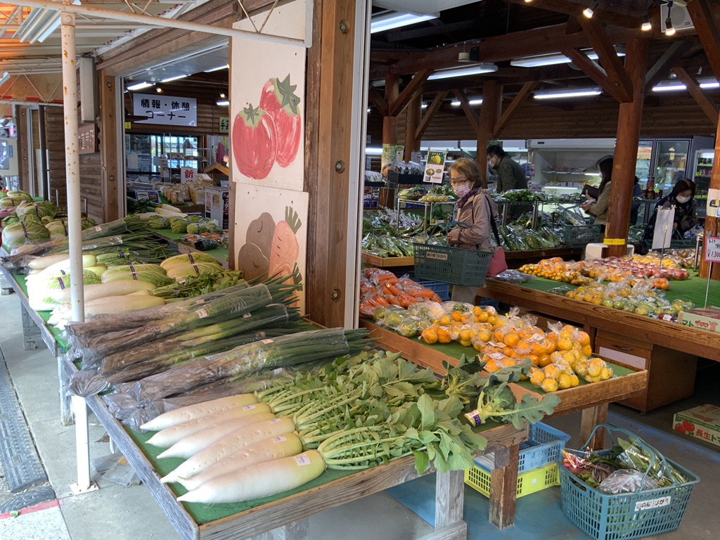 投稿された画像