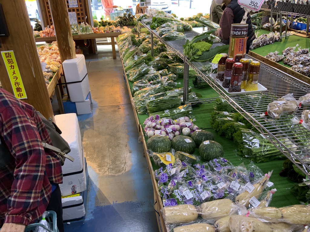 投稿された画像