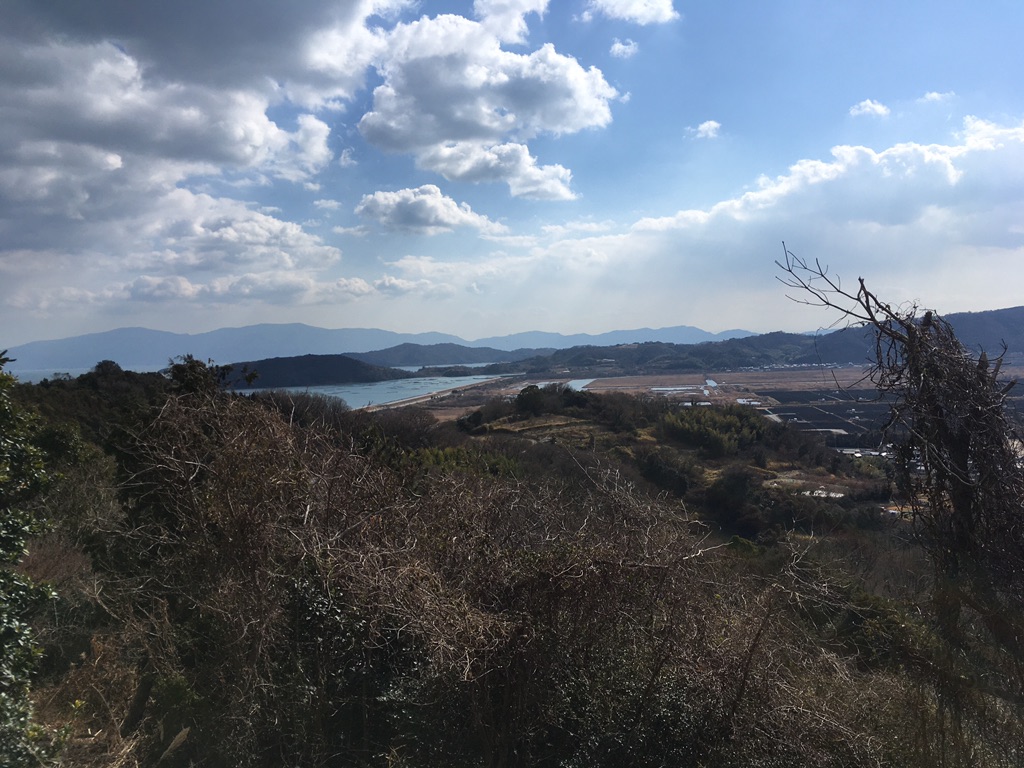 投稿された画像