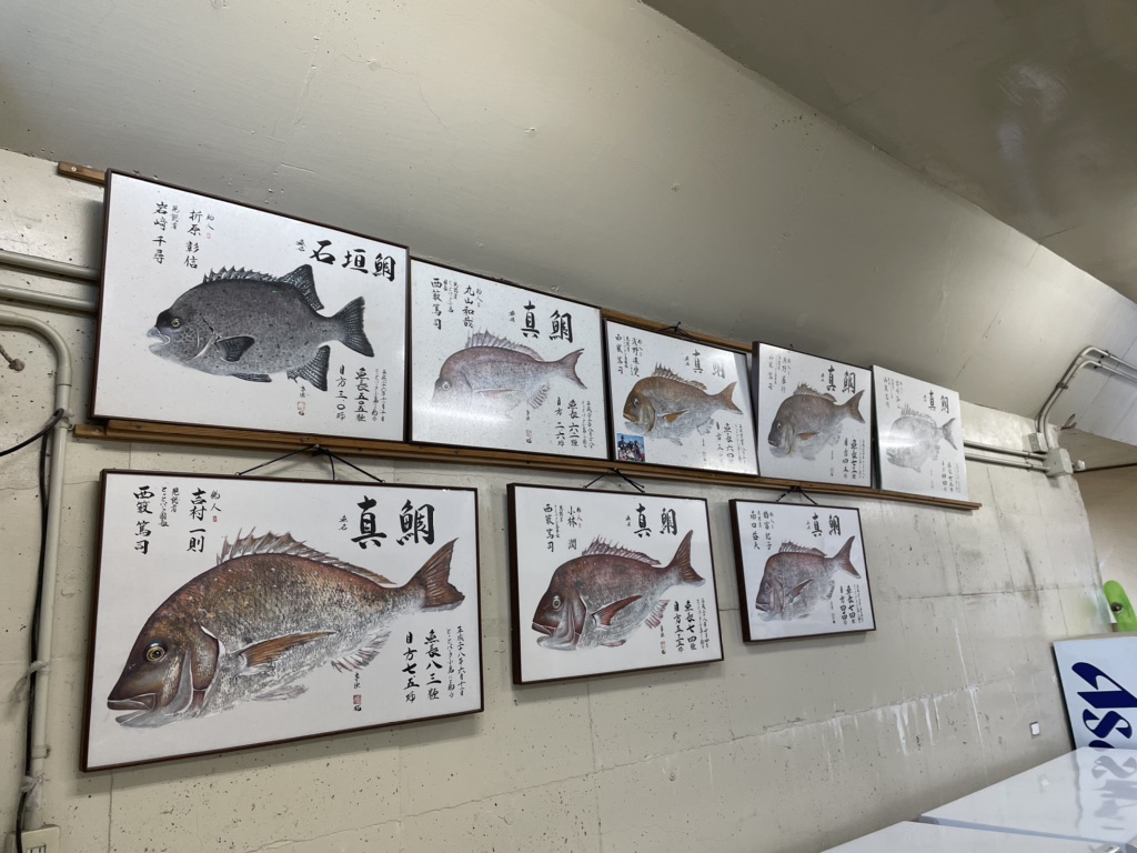 投稿された画像