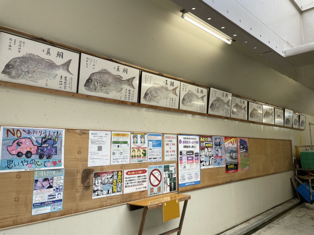 投稿された画像