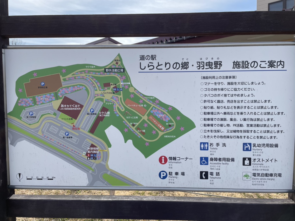 投稿された画像
