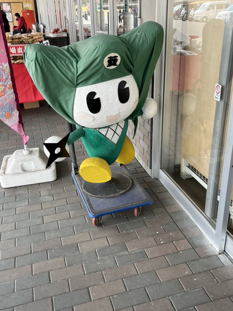 投稿された画像