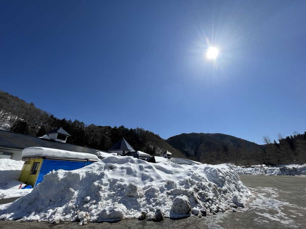 投稿された画像