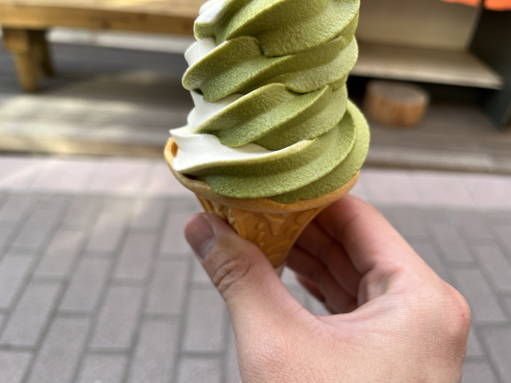 投稿された画像